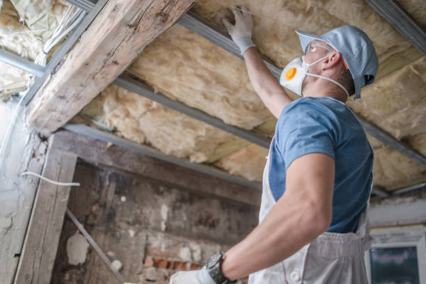 Best Best Insulation Companies  in Summer Set, MO