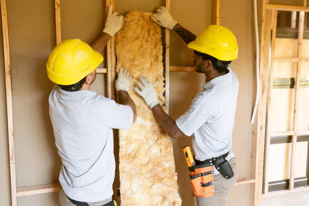 Best Affordable Insulation Services  in Summer Set, MO